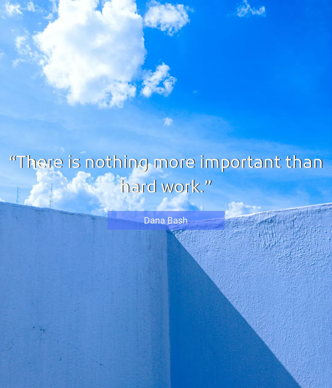 Quote About Work By Dana Bash