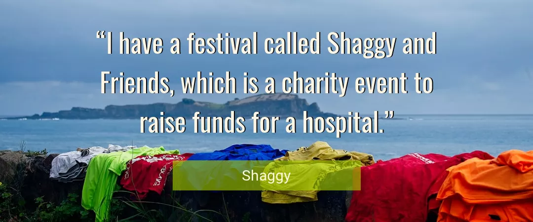 Quote About Hospital By Shaggy