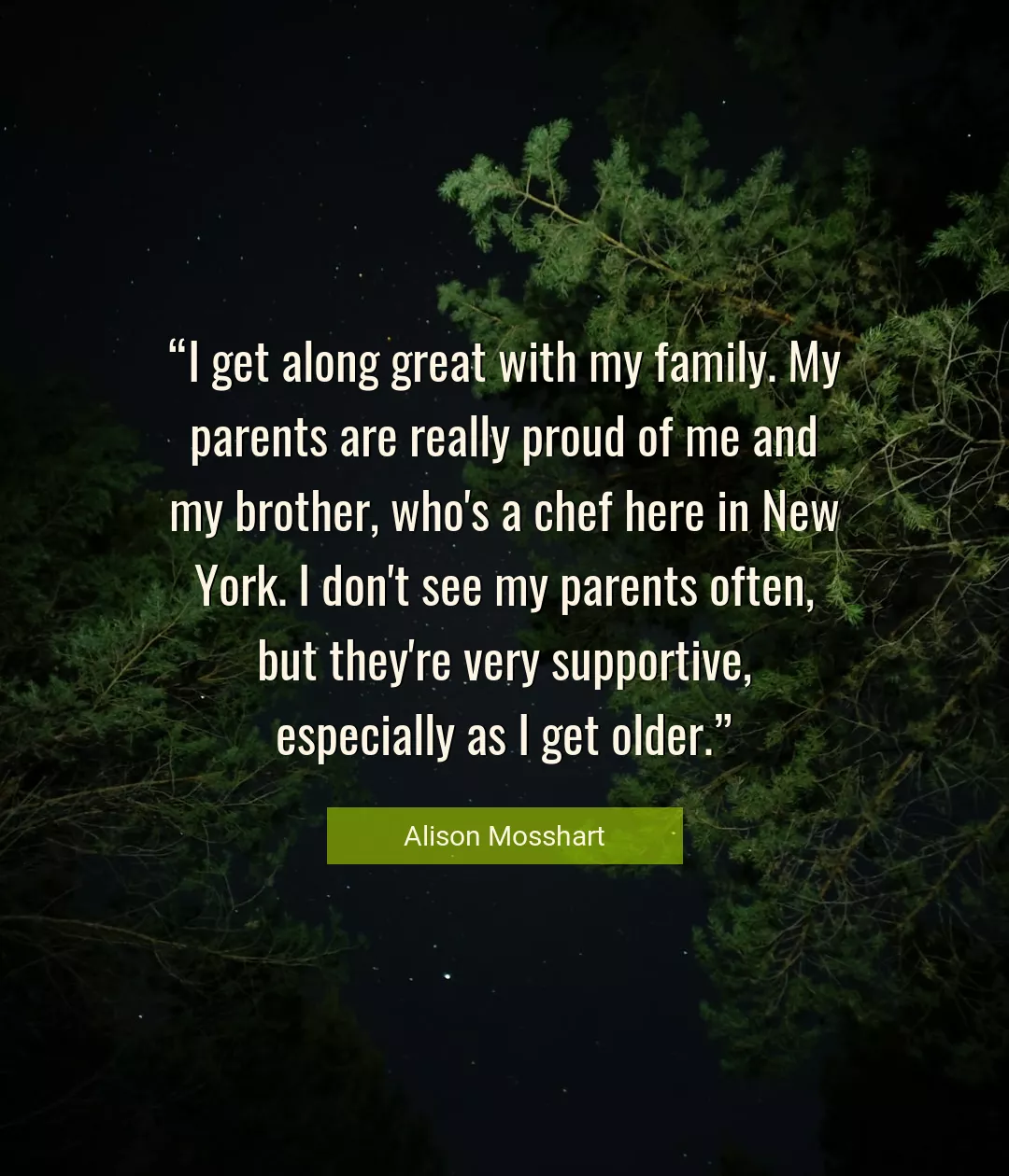 Quote About Family By Alison Mosshart