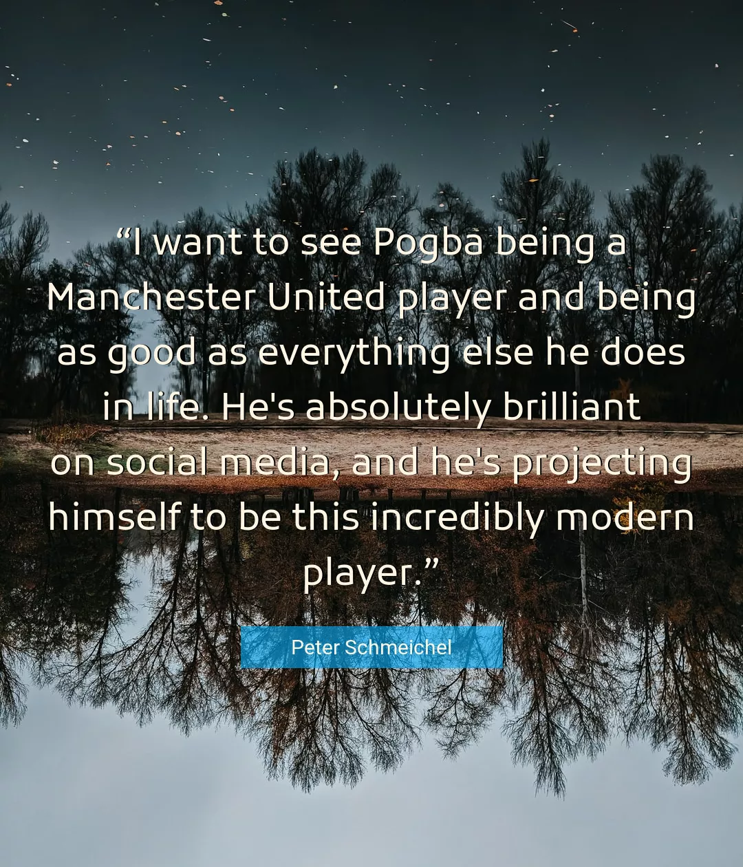 Quote About Life By Peter Schmeichel