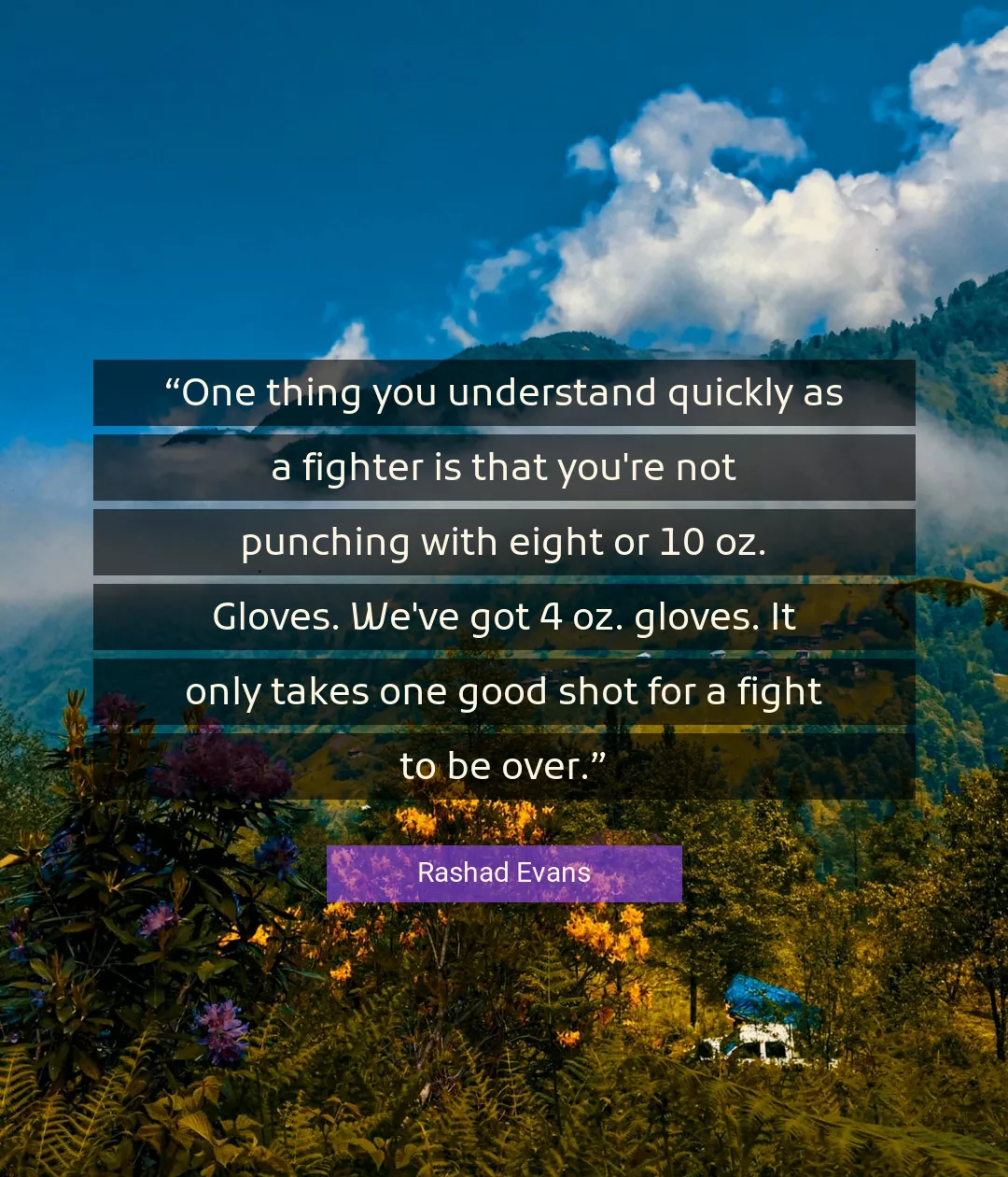 Quote About Good By Rashad Evans