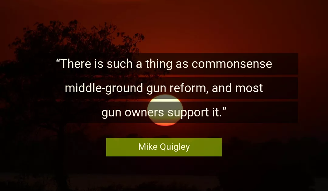 Quote About Gun By Mike Quigley