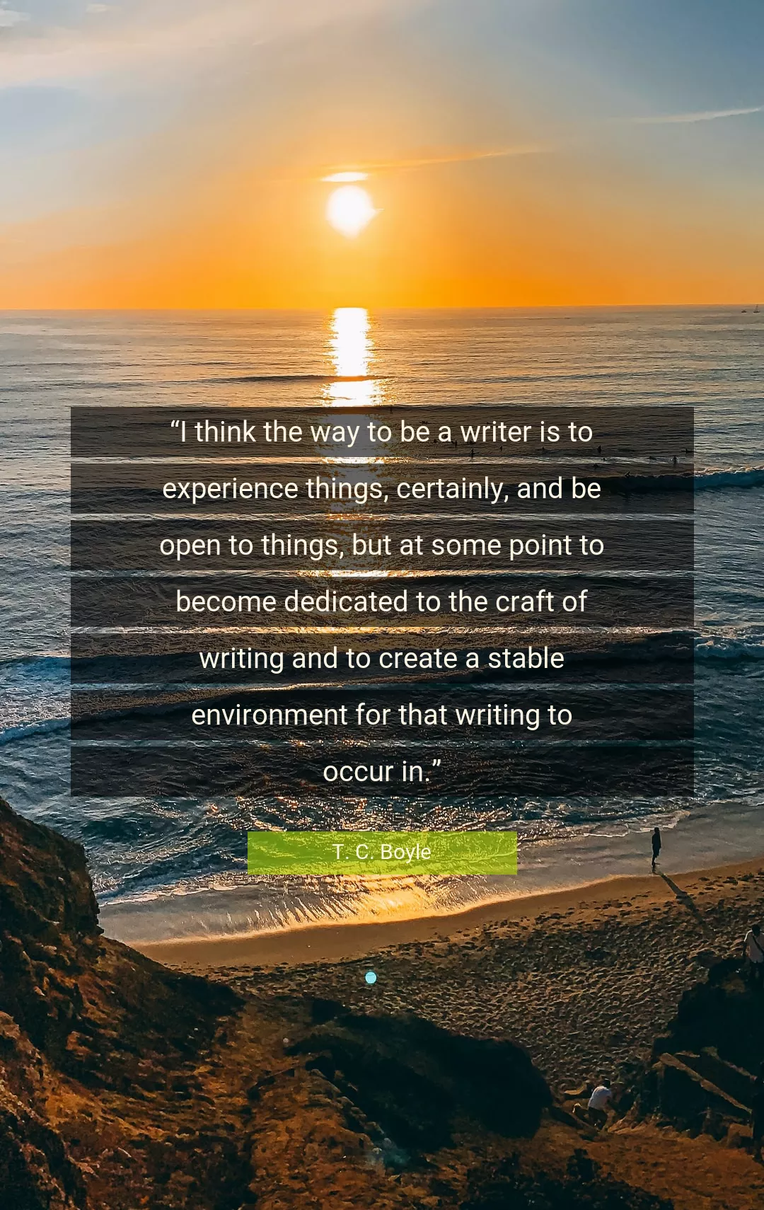 Quote About Experience By T. C. Boyle