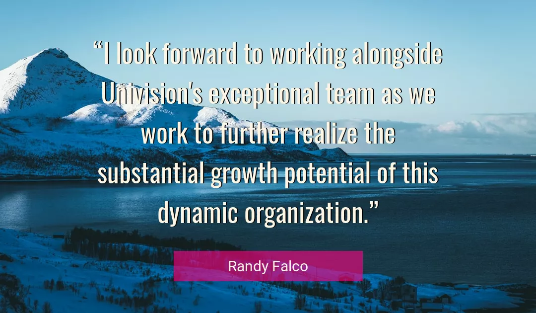 Quote About Work By Randy Falco