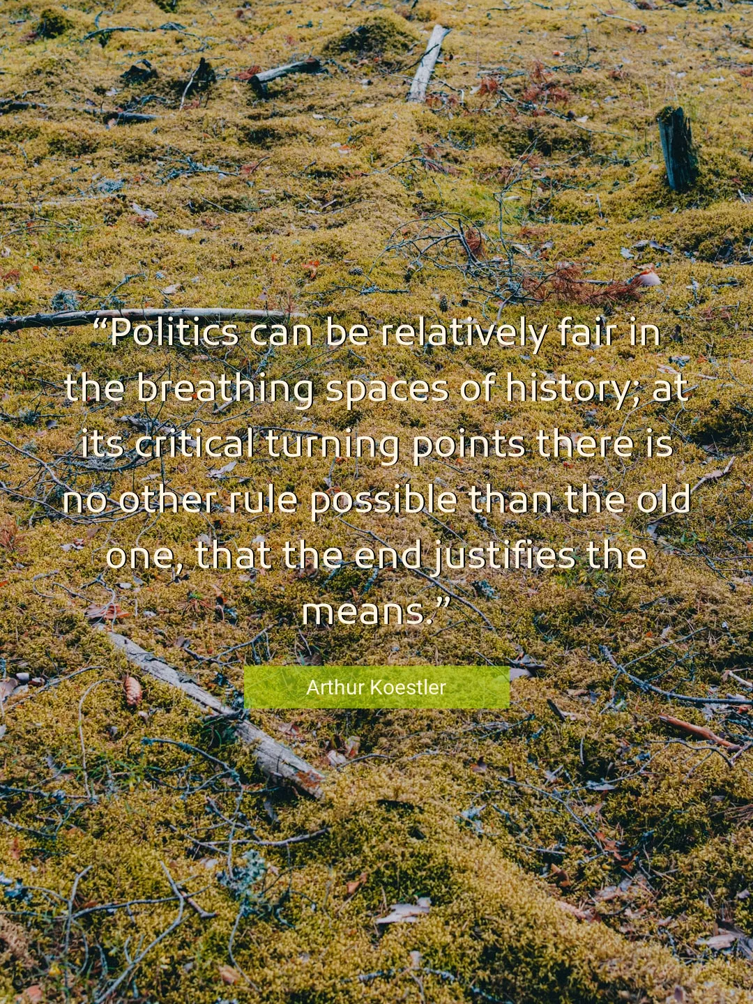 Quote About Politics By Arthur Koestler