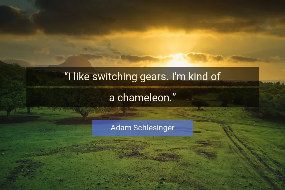 Quote About Like By Adam Schlesinger