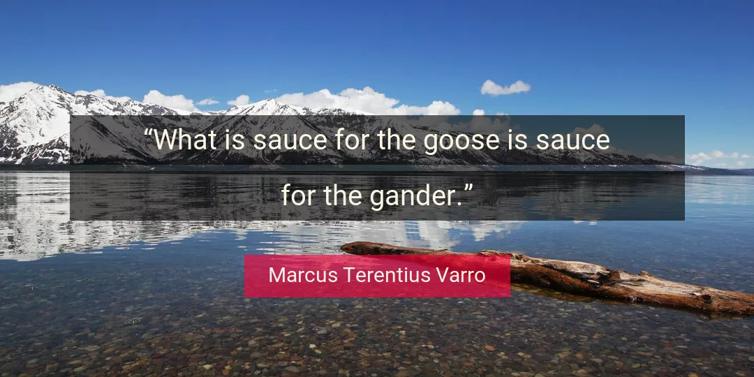 Quote About Goose By Marcus Terentius Varro
