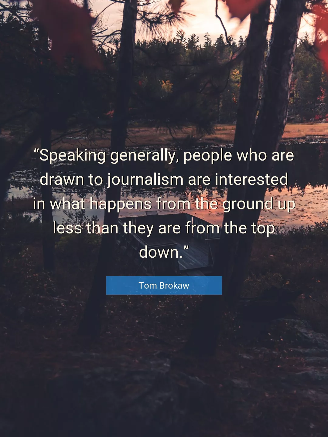 Quote About People By Tom Brokaw