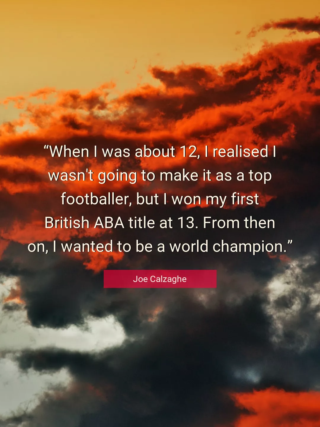 Quote About World By Joe Calzaghe