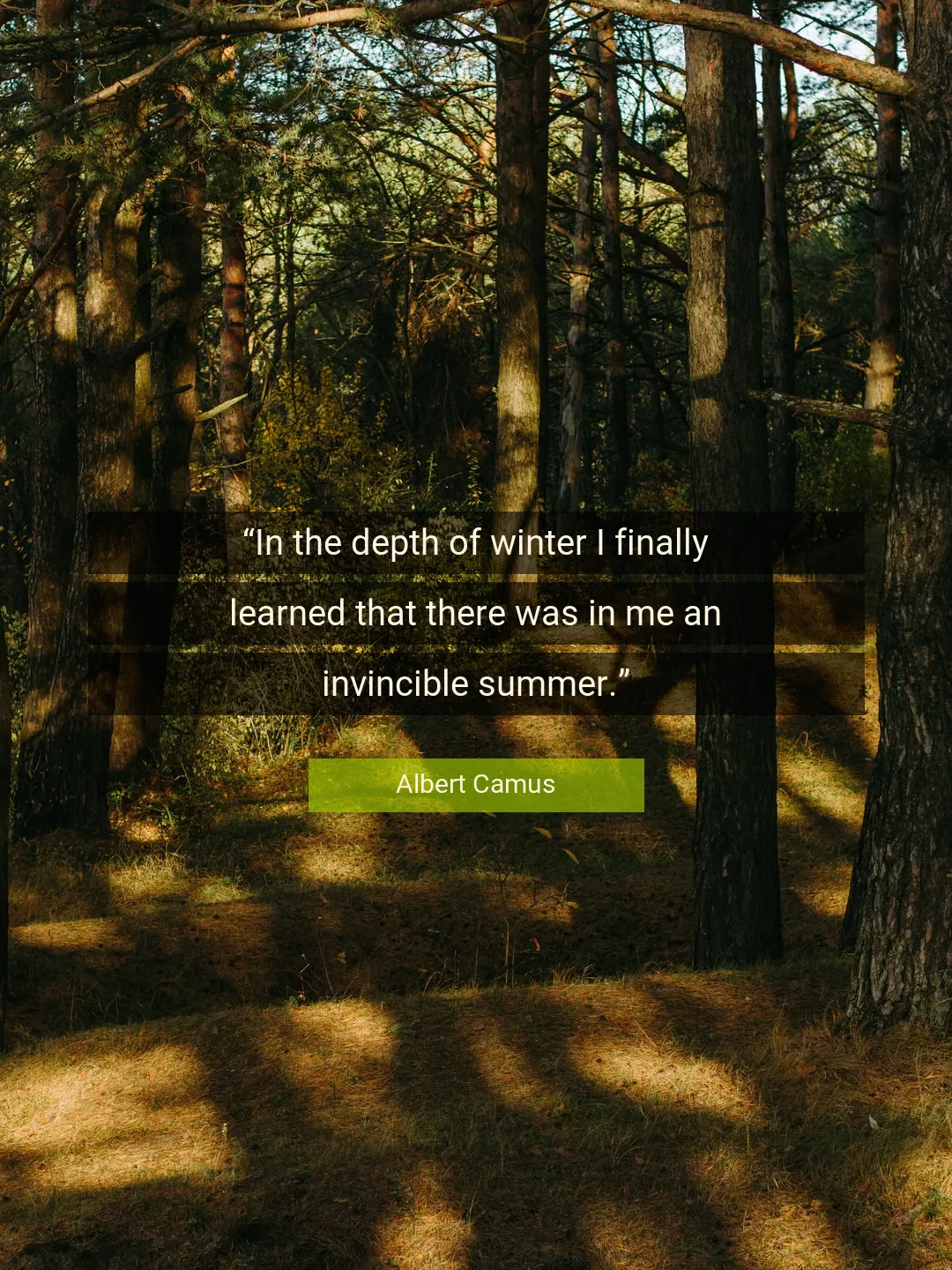 Quote About Nature By Albert Camus
