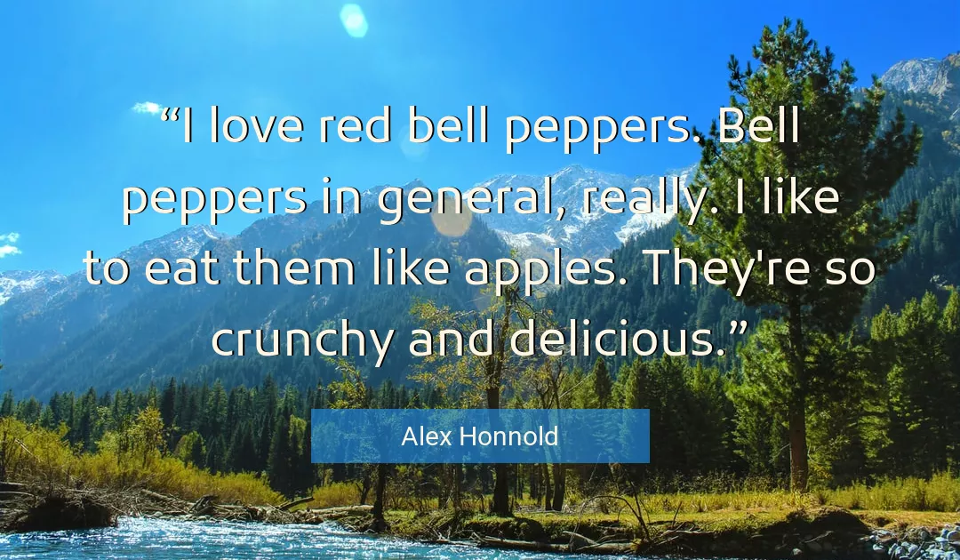 Quote About Love By Alex Honnold