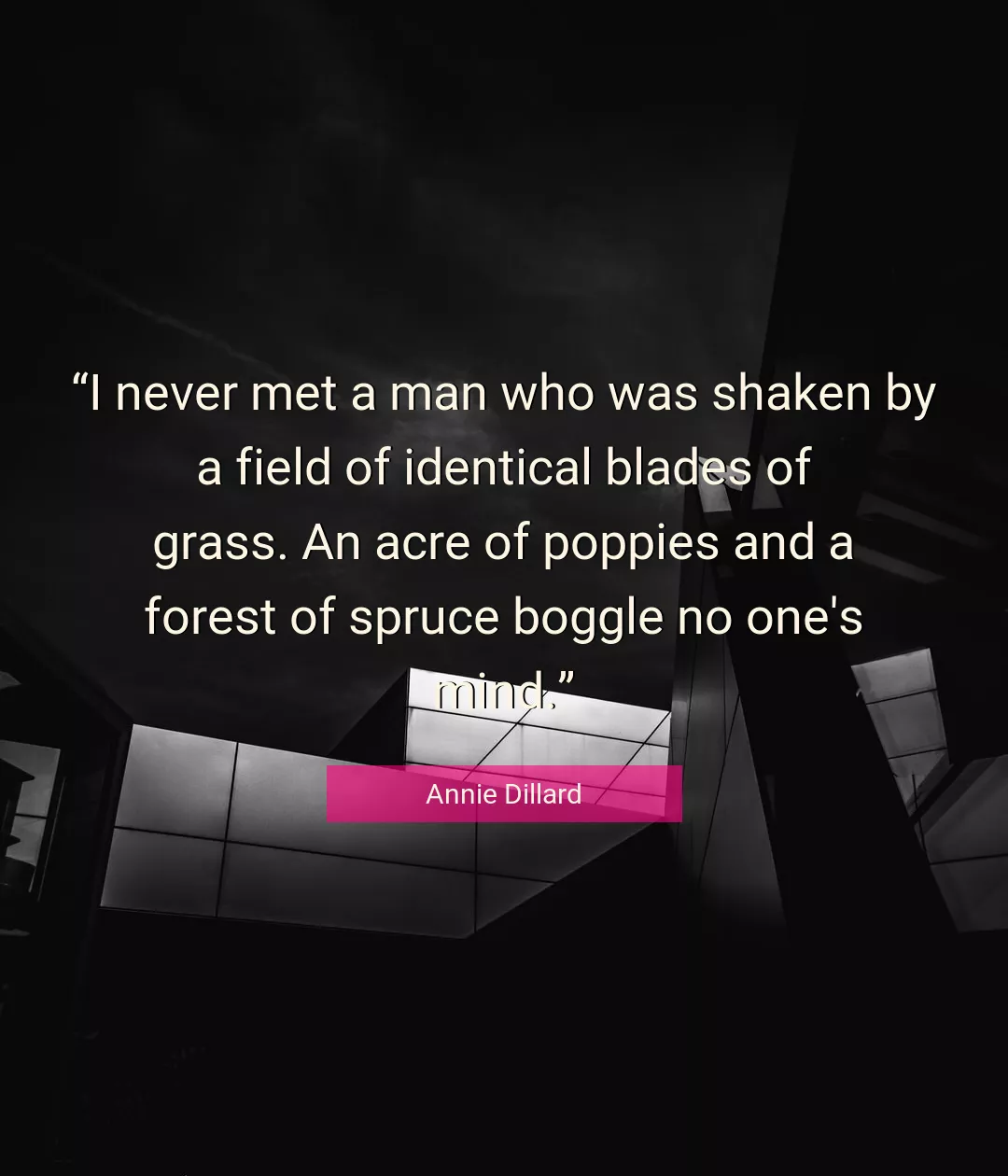 Quote About Man By Annie Dillard