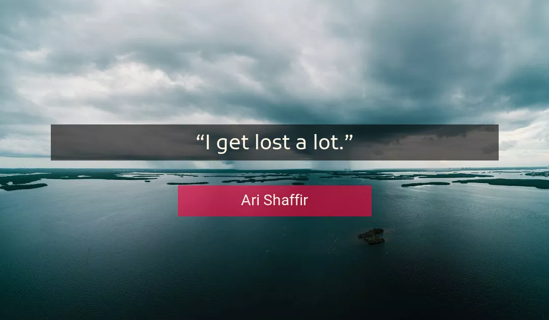 Quote About Lost By Ari Shaffir
