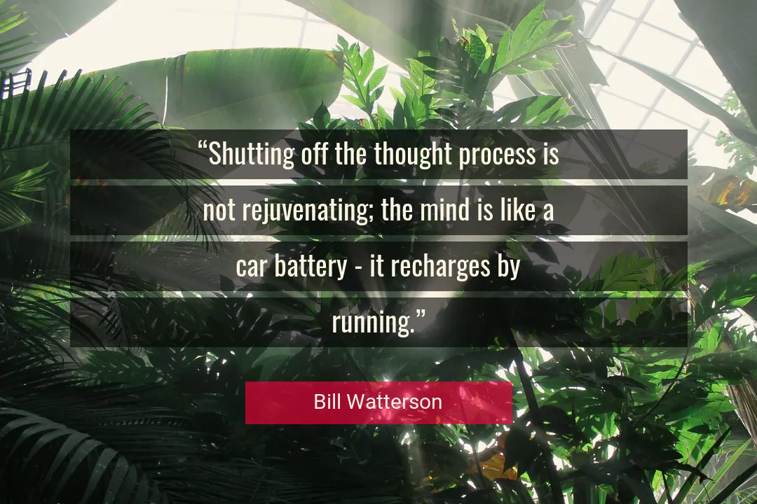 Quote About Car By Bill Watterson