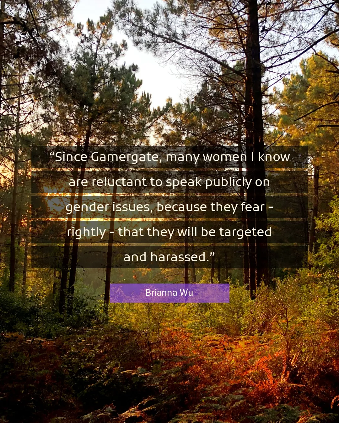 Quote About Women By Brianna Wu