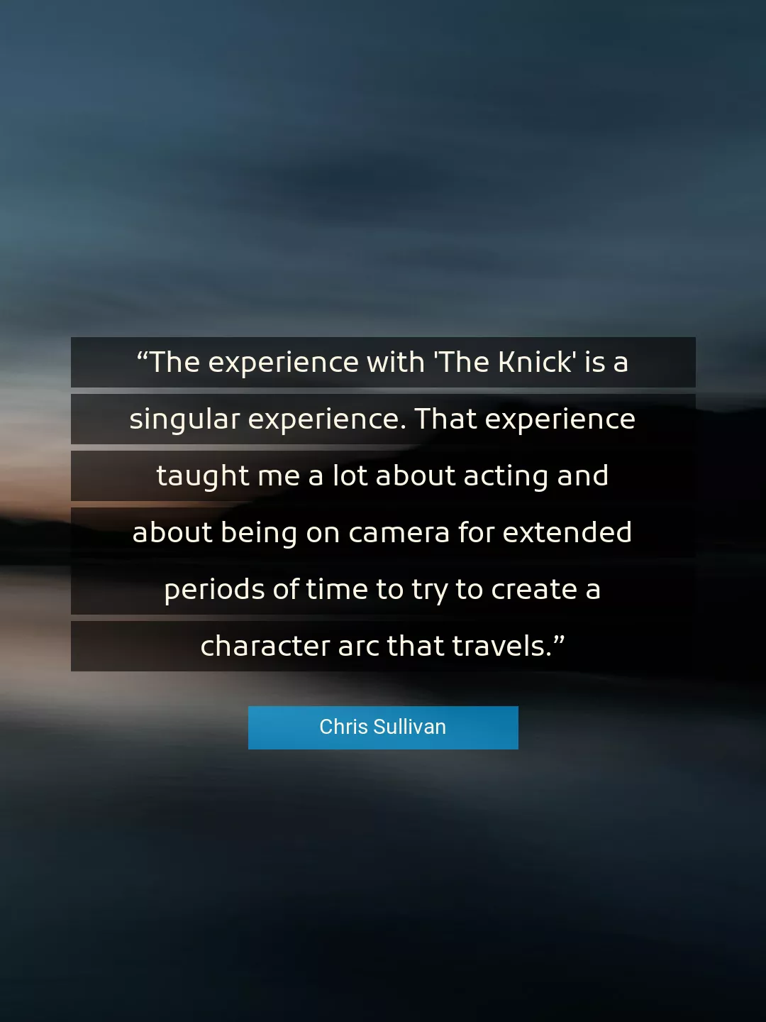 Quote About Experience By Chris Sullivan
