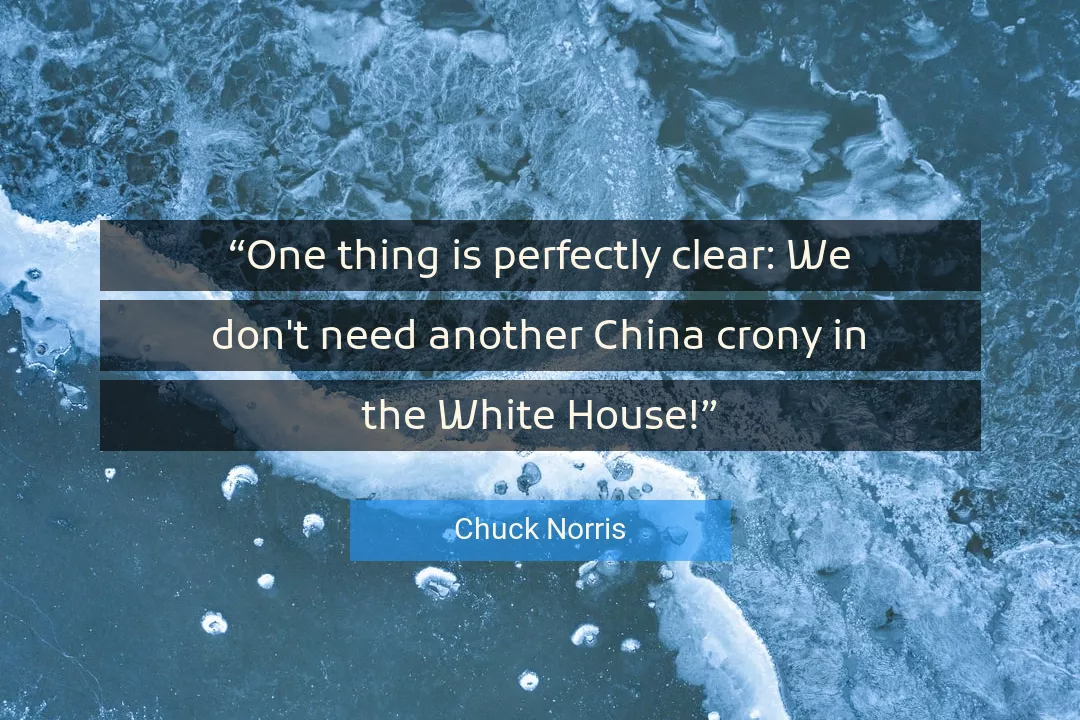 Quote About White By Chuck Norris