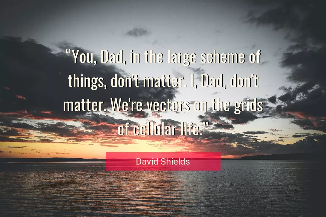 Quote About Life By David Shields