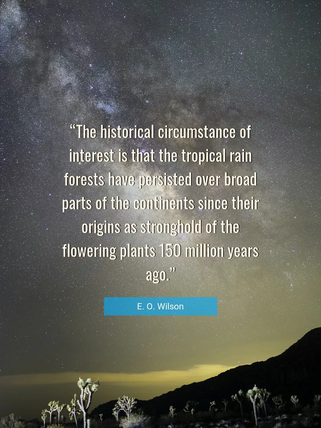 Quote About Rain By E. O. Wilson