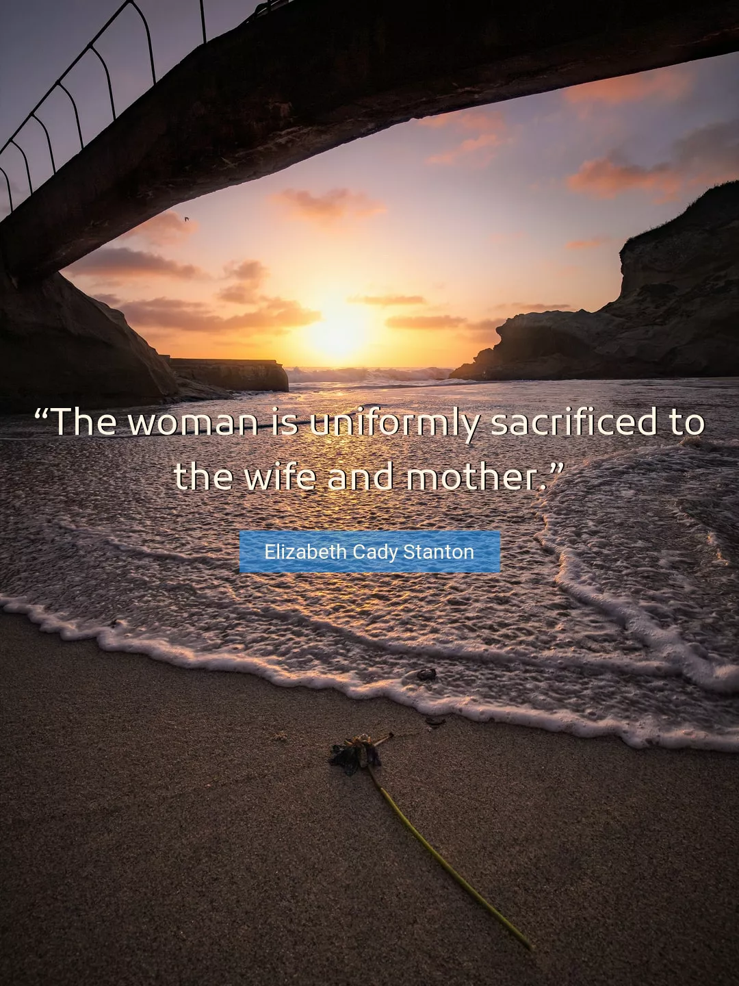 Quote About Wife By Elizabeth Cady Stanton