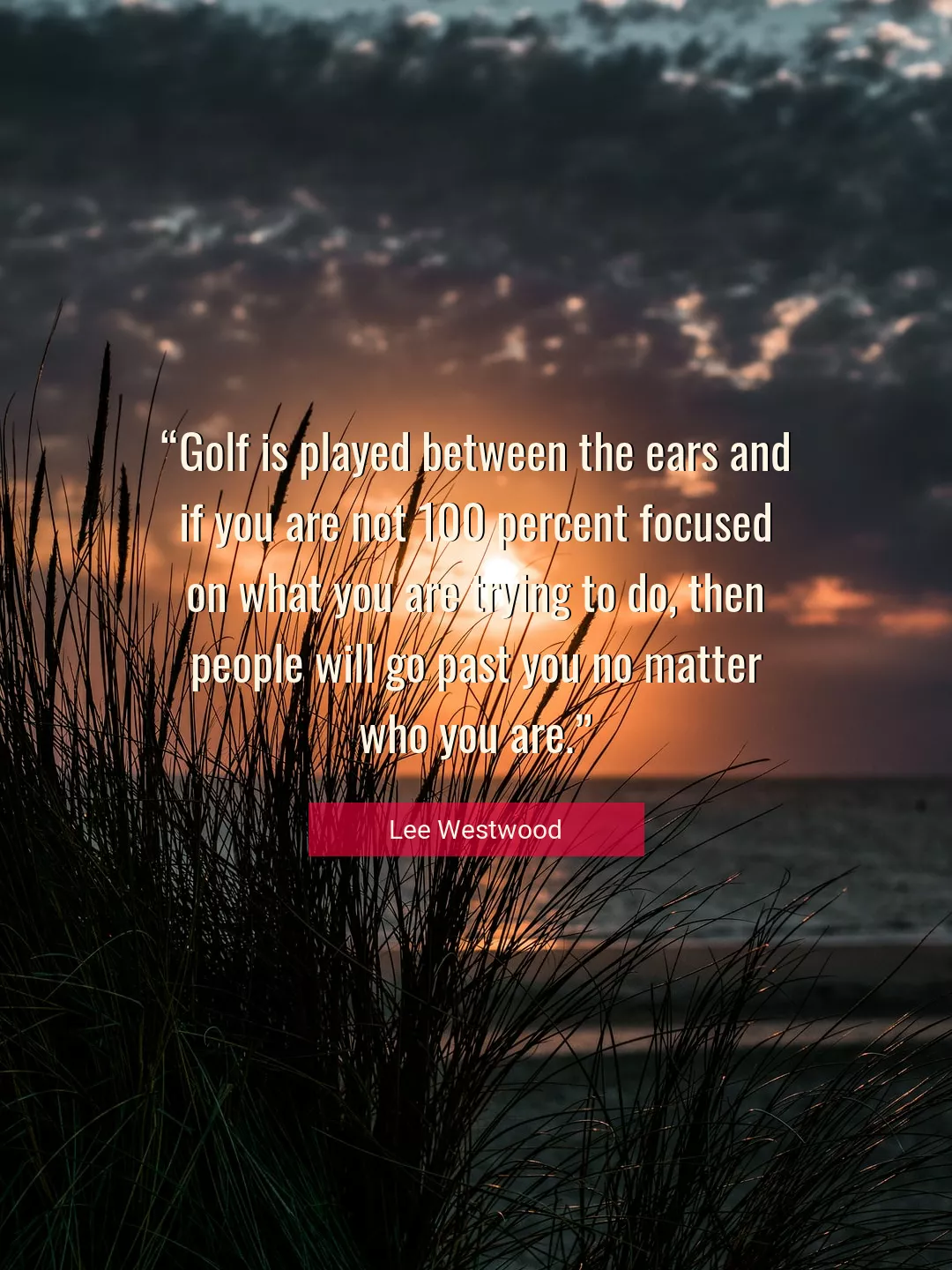 Quote About You By Lee Westwood