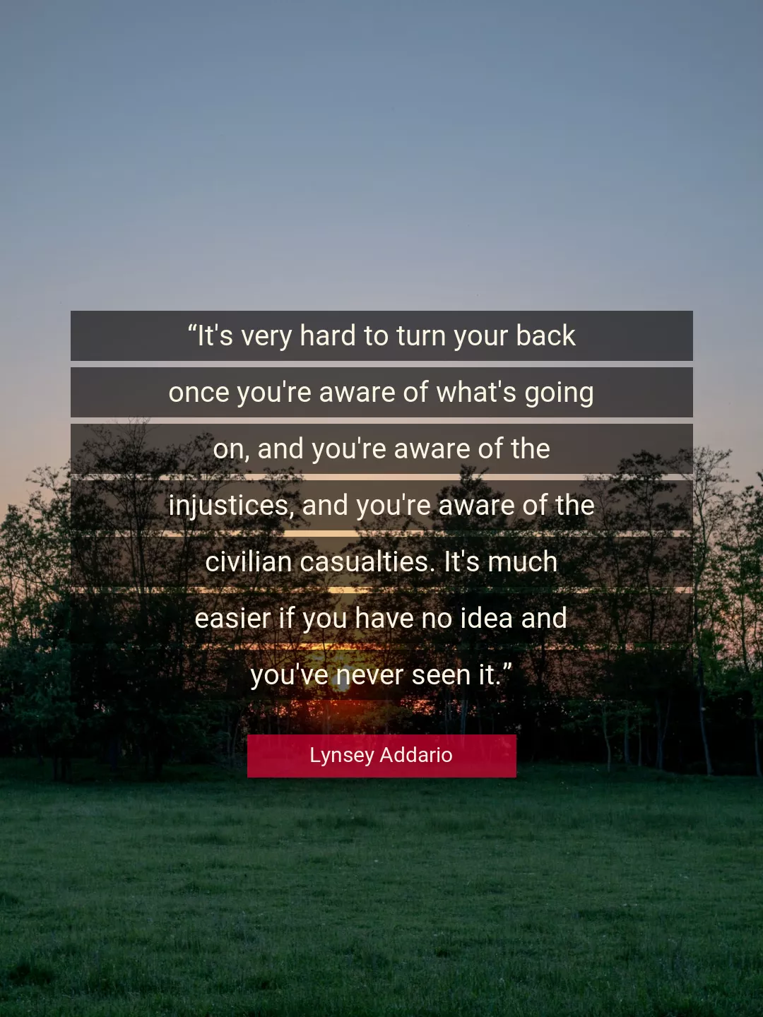 Quote About You By Lynsey Addario
