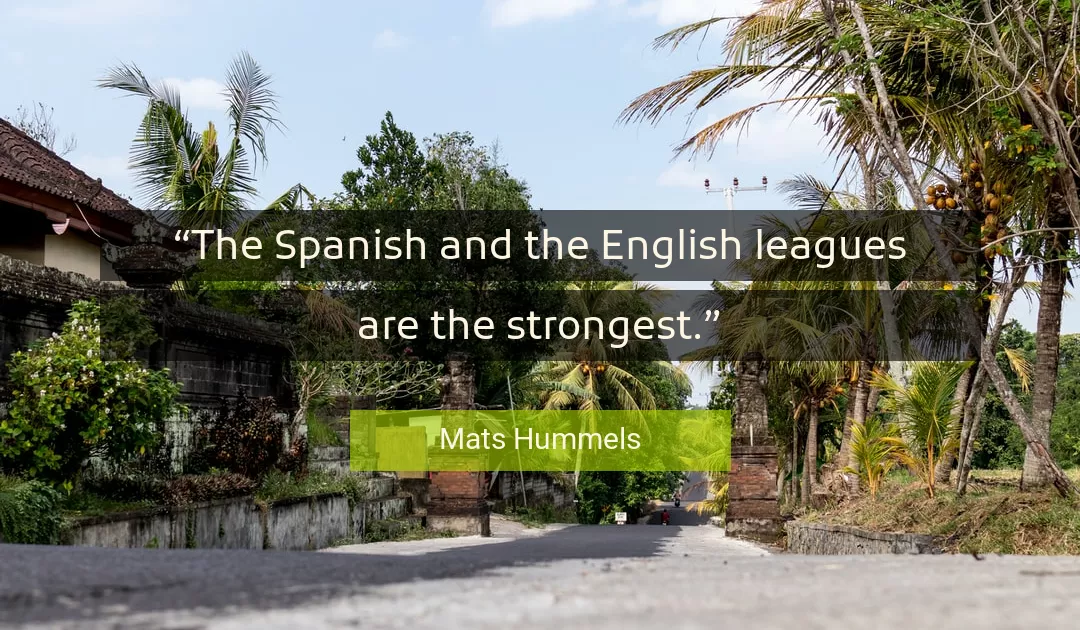 Quote About English By Mats Hummels