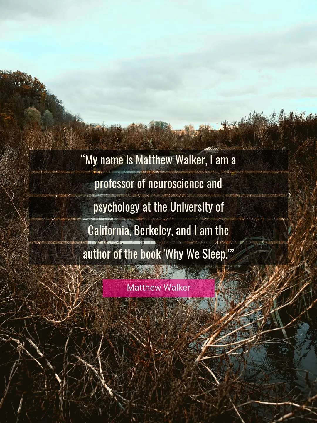 Quote About I By Matthew Walker