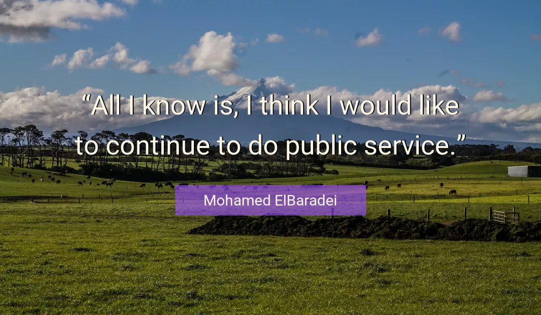 Quote About Service By Mohamed ElBaradei