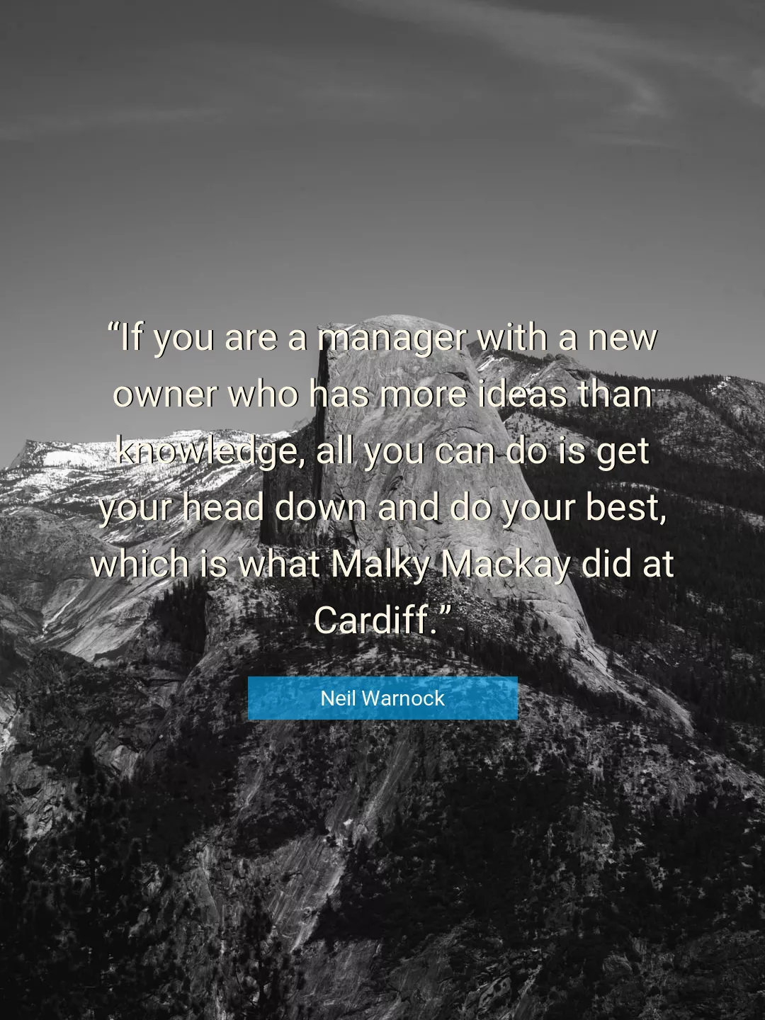 Quote About Best By Neil Warnock