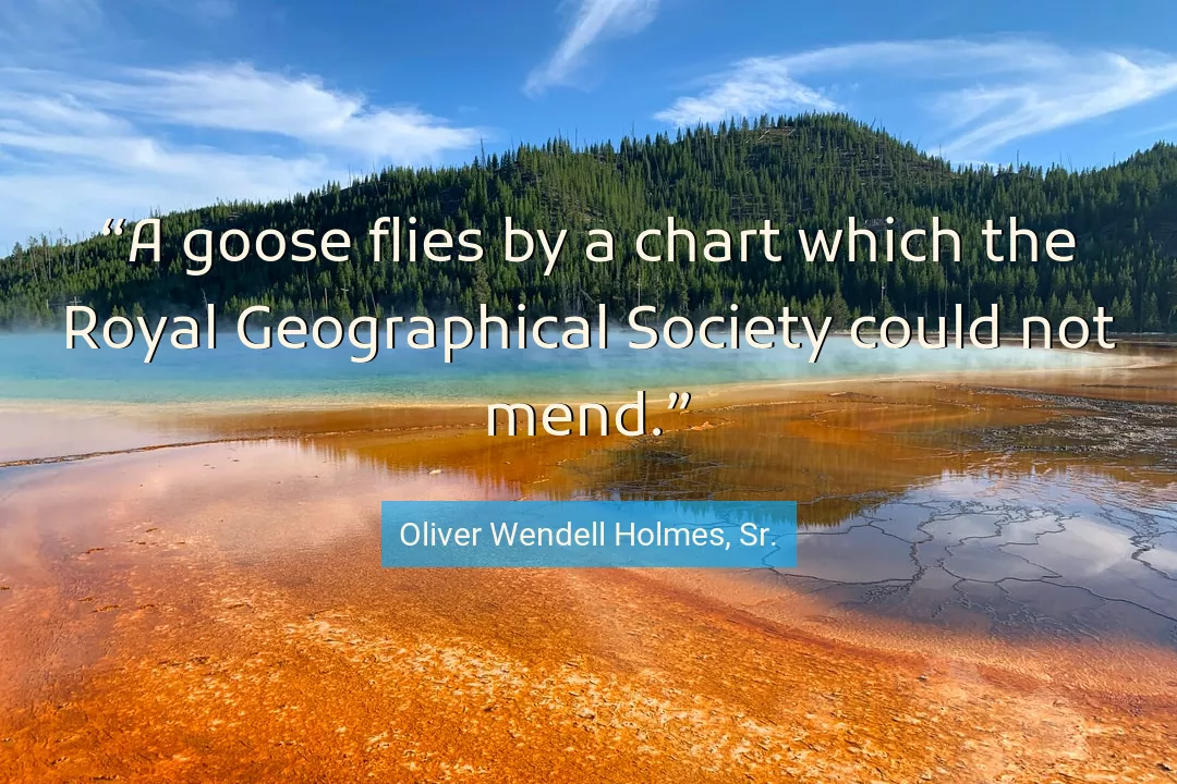 Quote About Society By Oliver Wendell Holmes, Sr.