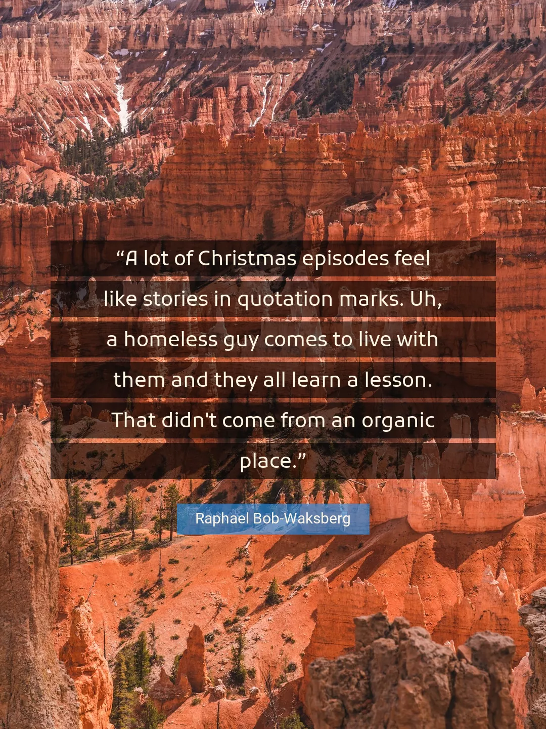 Quote About Christmas By Raphael Bob-Waksberg