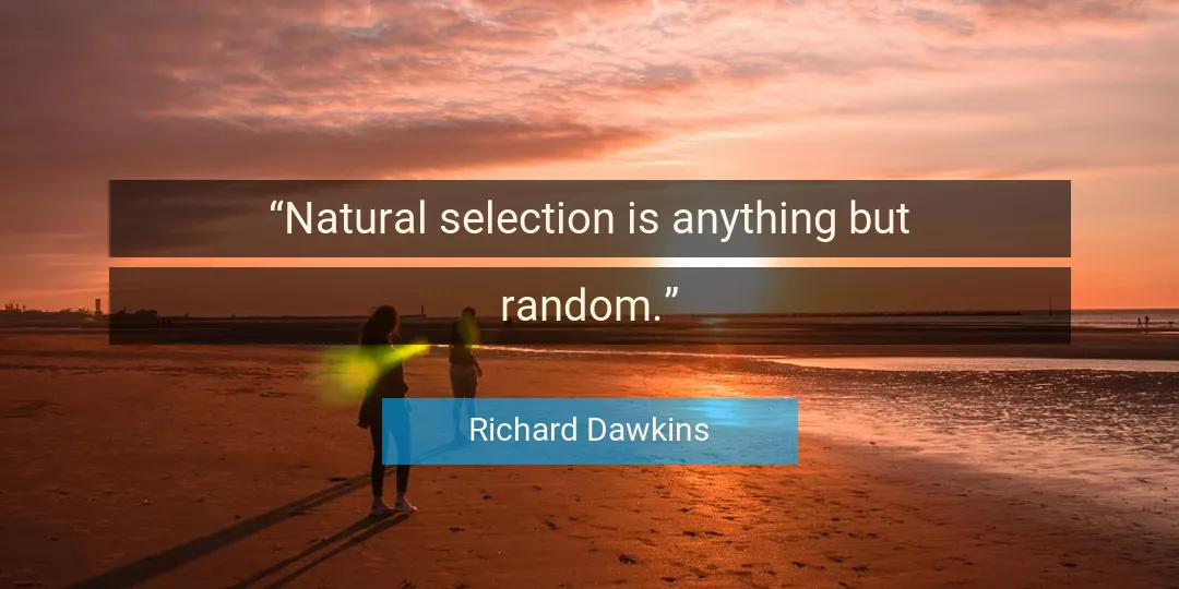 Quote About Random By Richard Dawkins