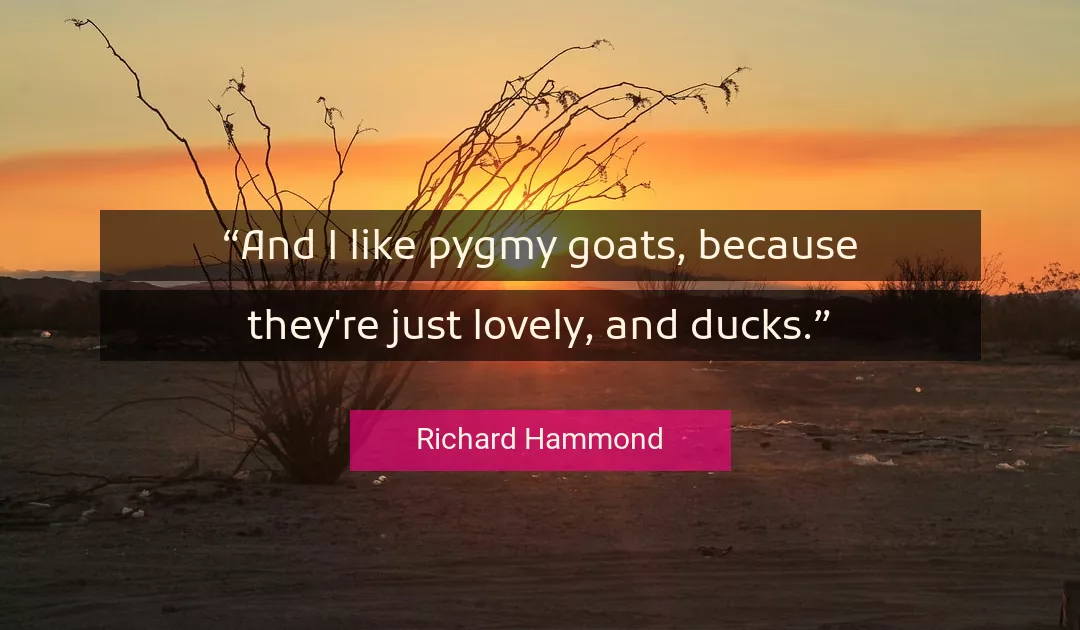 Quote About Like By Richard Hammond