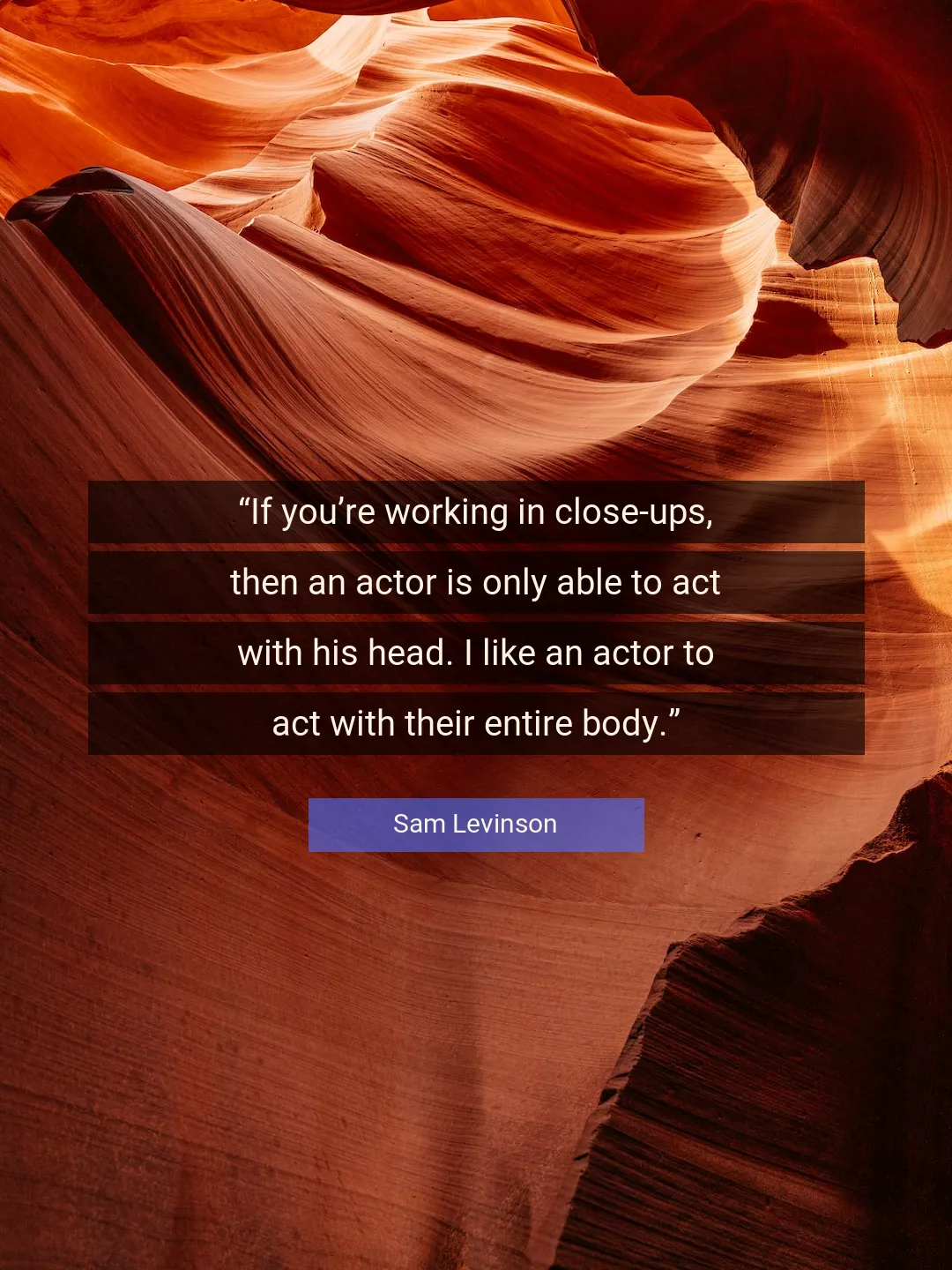Quote About Body By Sam Levinson