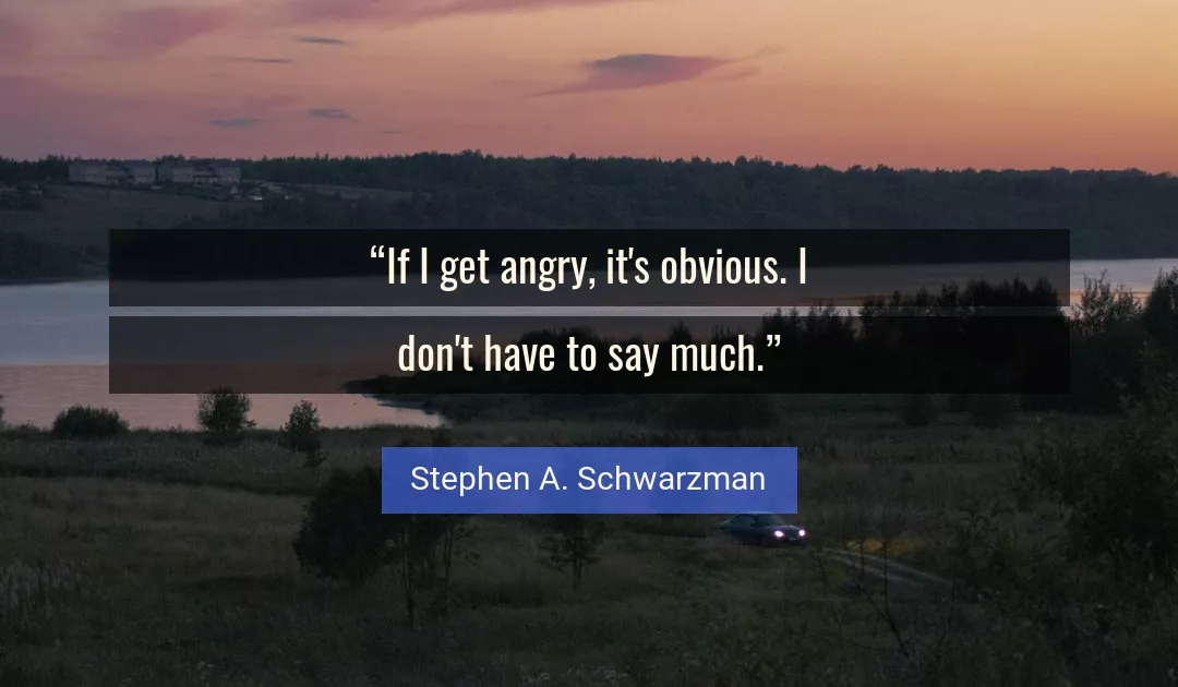 Quote About Angry By Stephen A. Schwarzman