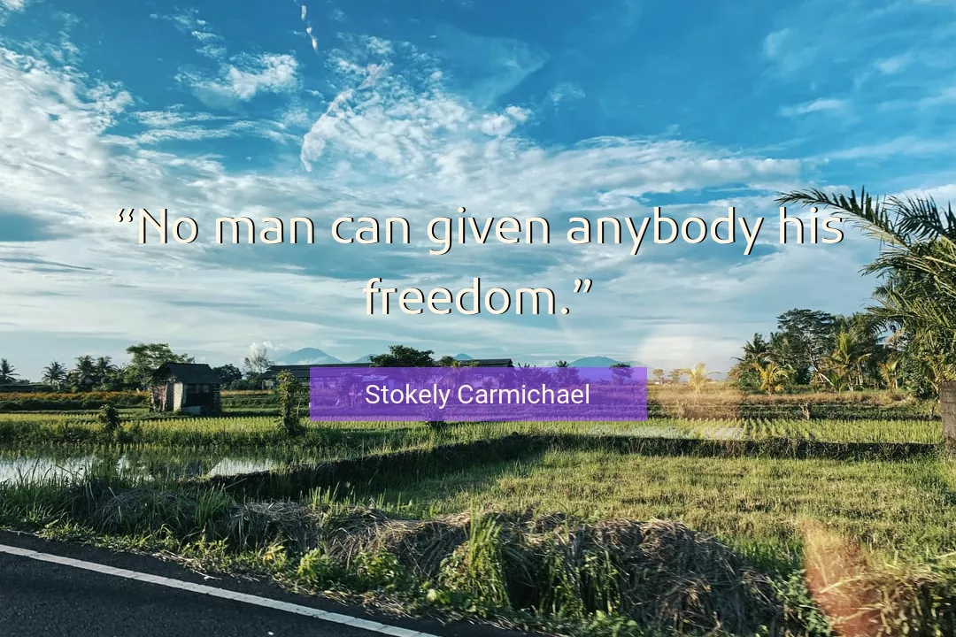 Quote About Man By Stokely Carmichael