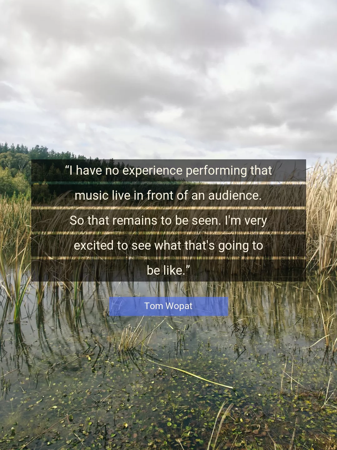 Quote About Experience By Tom Wopat