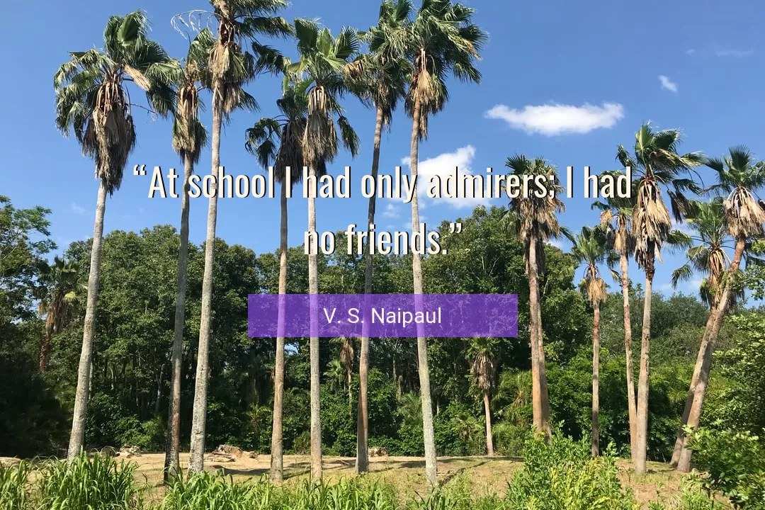 Quote About No By V. S. Naipaul