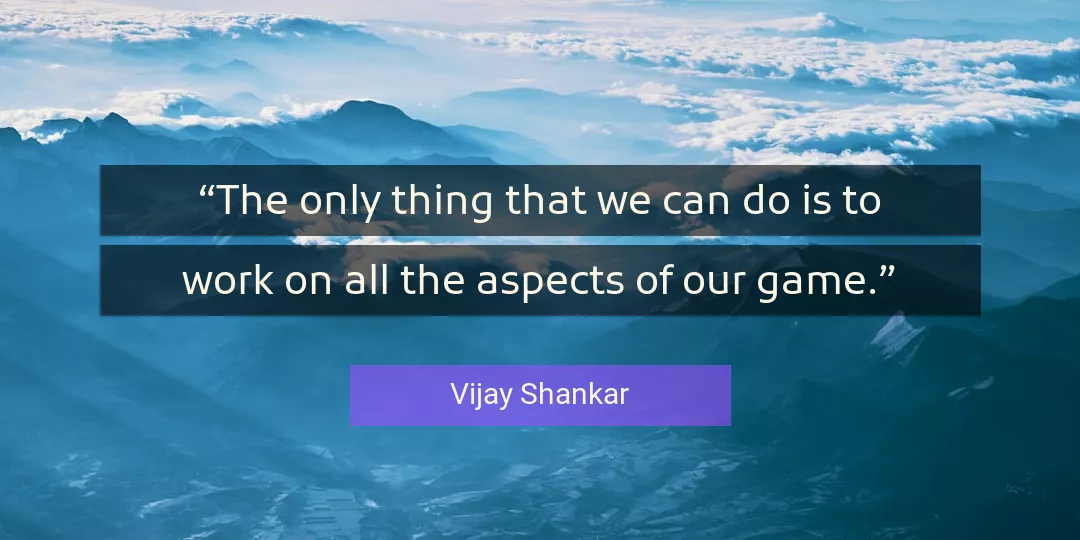Quote About Work By Vijay Shankar
