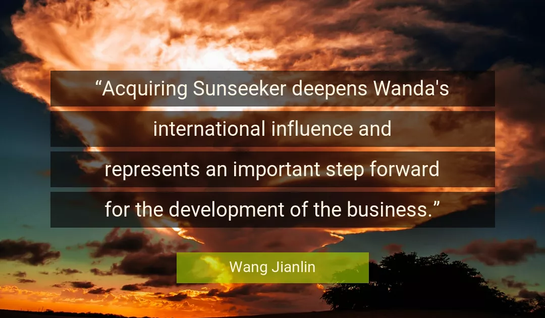 Quote About Business By Wang Jianlin
